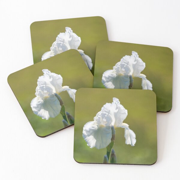 Item preview, White Flag Iris lbicans designed and sold by Dorset Girl.