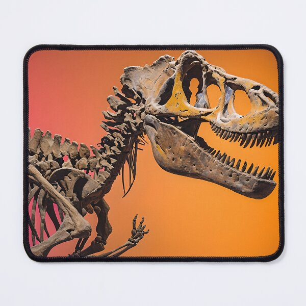 Item preview, Tyrannosaurus rex Skelton colour designed and sold by MountAshDesigns.