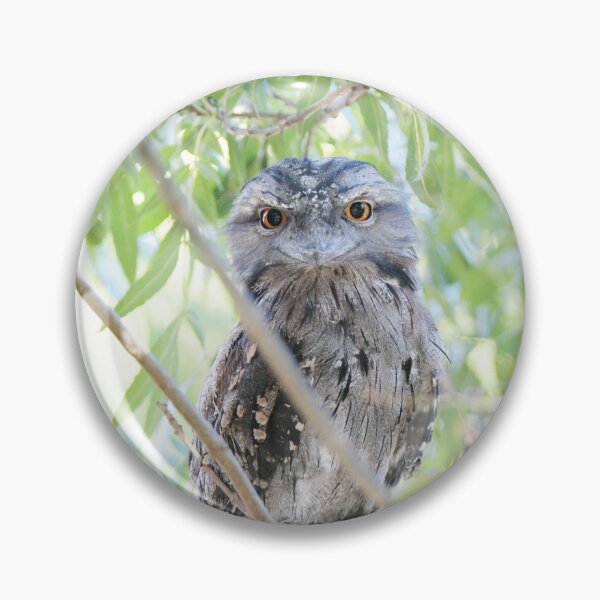 Item preview, Wide Eyed Tawny Frogmouth designed and sold by imaginethis.