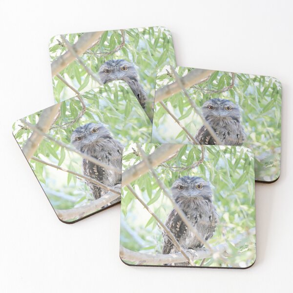 Item preview, Wide Eyed Tawny Frogmouth designed and sold by imaginethis.