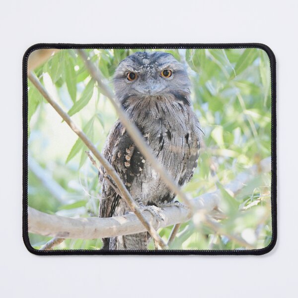 Item preview, Wide Eyed Tawny Frogmouth designed and sold by imaginethis.