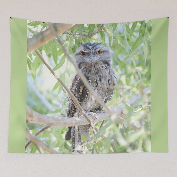 Item preview, Wide Eyed Tawny Frogmouth designed and sold by imaginethis.