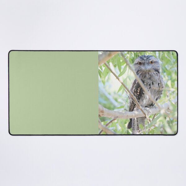 Item preview, Wide Eyed Tawny Frogmouth designed and sold by imaginethis.