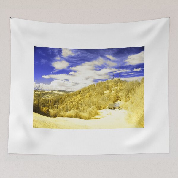 Item preview, Top of the Uetliberg designed and sold by Photos By Michel.