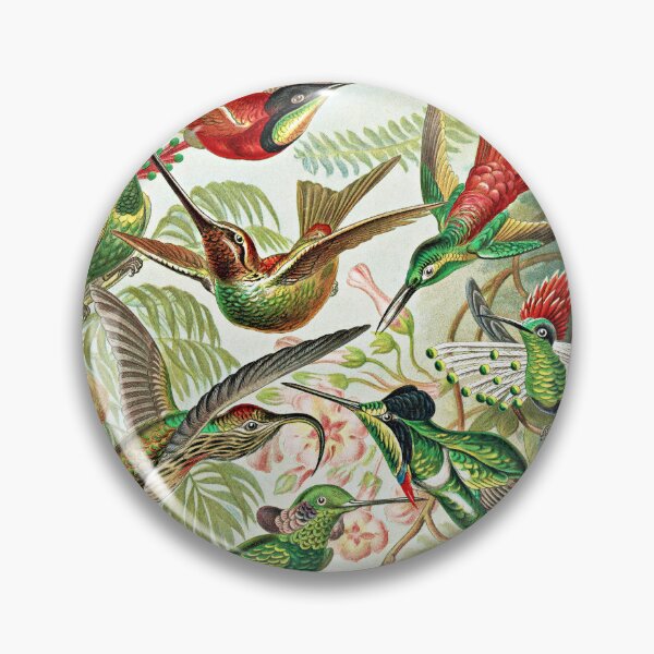 Item preview, Ernst Haeckel, Colibris, Vintage Trochilidae Art designed and sold by Artistic Gift Print.