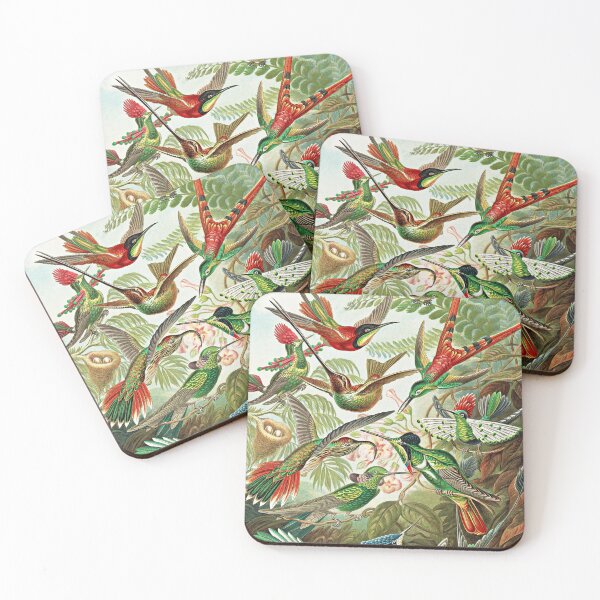 Item preview, Ernst Haeckel, Colibris, Vintage Trochilidae Art designed and sold by Artistic Gift Print.