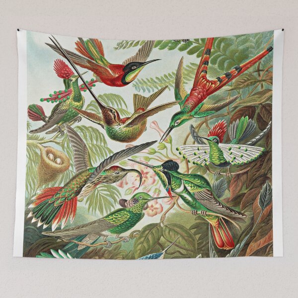 Item preview, Ernst Haeckel, Colibris, Vintage Trochilidae Art designed and sold by Artistic Gift Print.
