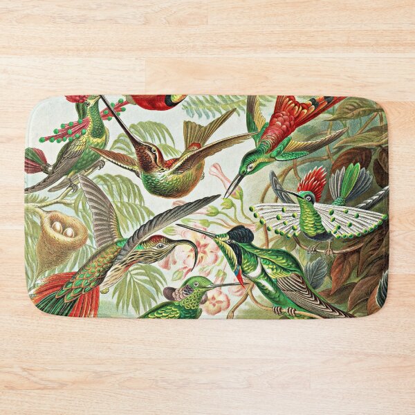 Item preview, Ernst Haeckel, Colibris, Vintage Trochilidae Art designed and sold by Artistic Gift Print.