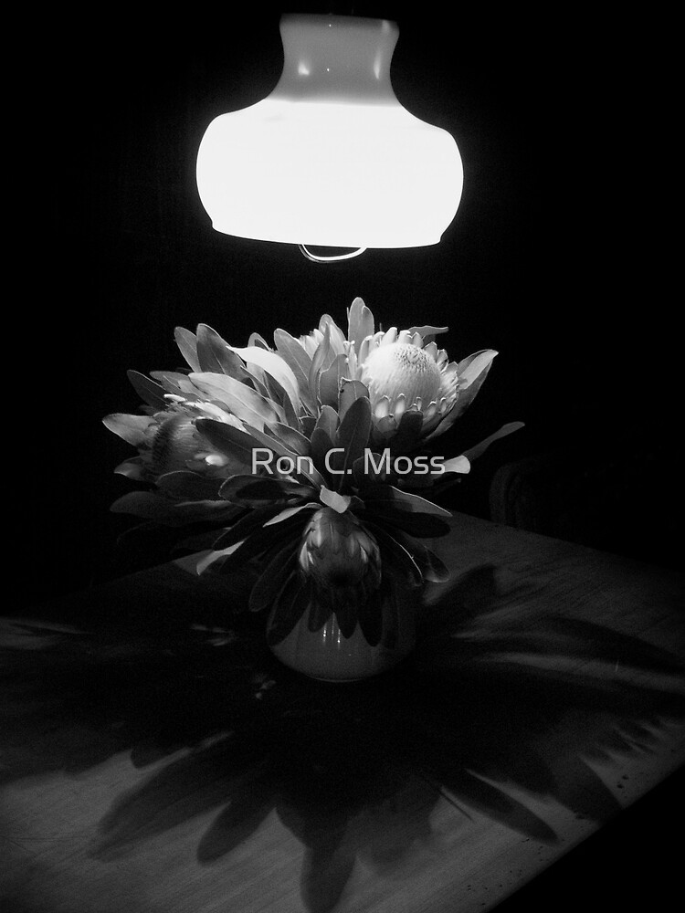 Night Shadows by ronmoss
