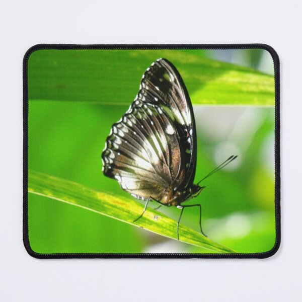 Item preview, Butterfly in Luminous Light designed and sold by Kymbo.