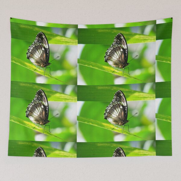 Item preview, Butterfly in Luminous Light designed and sold by Kymbo.