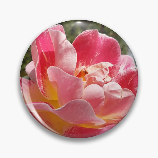 Item preview, Rose Praises the Sun designed and sold by Morpheus' Garden of Dreams - by DukeRedWulf.