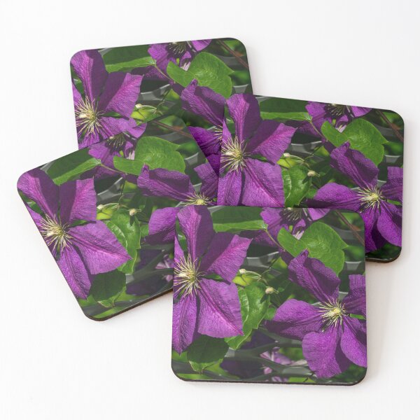 Item preview, Two purple clematis flowers in the green designed and sold by Eckart Mayer Photography.