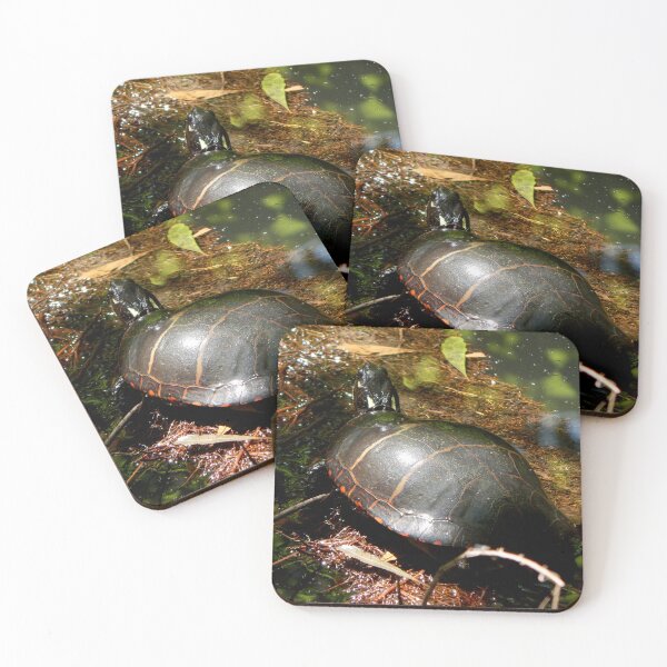 Item preview, Painted Turtle Basking designed and sold by gistinker.