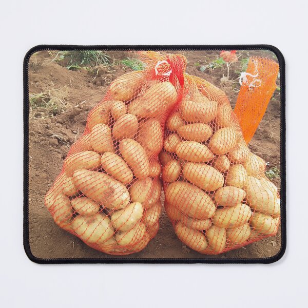 Item preview, Freshly harvested bag of potatoes in a farm. designed and sold by Jamesk82.