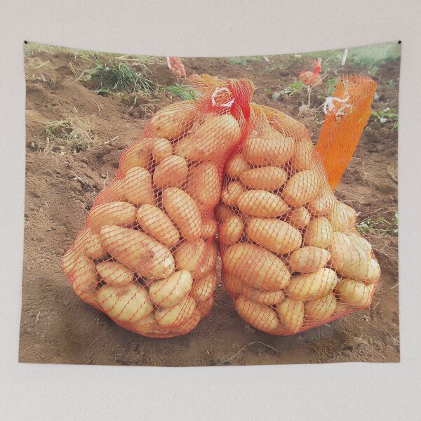 Item preview, Freshly harvested bag of potatoes in a farm. designed and sold by Jamesk82.