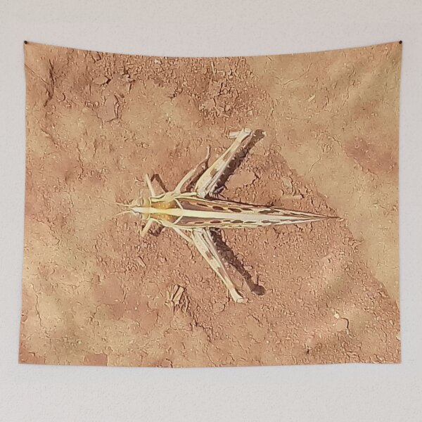 Item preview, A grasshopper on the brown ground.  designed and sold by Jamesk82.