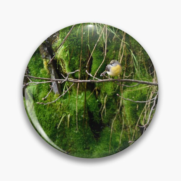 Item preview, The green wall. Grey wagtail designed and sold by Jouko Lehto Photography.