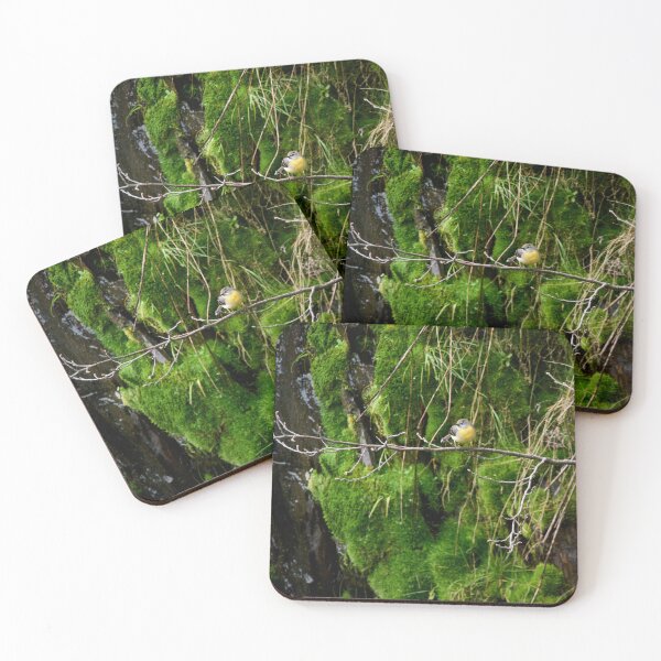 Item preview, The green wall. Grey wagtail designed and sold by Jouko Lehto Photography.