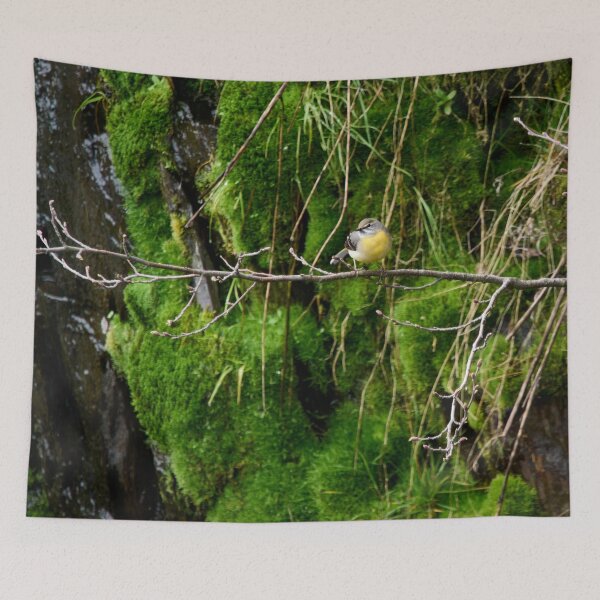 Item preview, The green wall. Grey wagtail designed and sold by Jouko Lehto Photography.