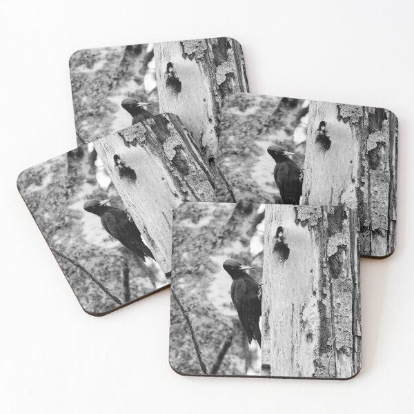 Item preview, The black drummer. Black woodpecker bw designed and sold by Jouko Lehto Photography.