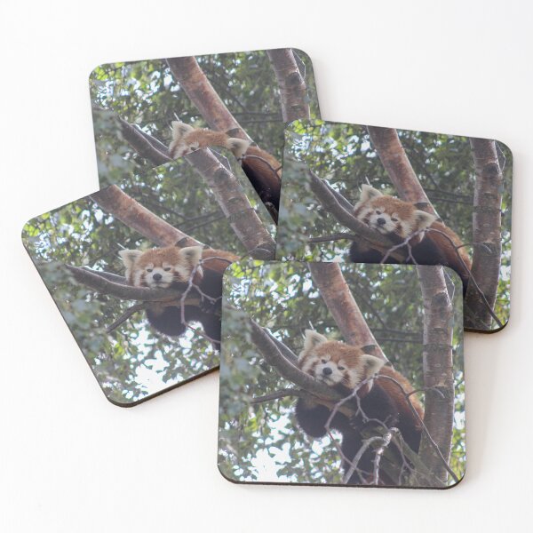 Item preview, Resting Red Panda designed and sold by Kuwei.