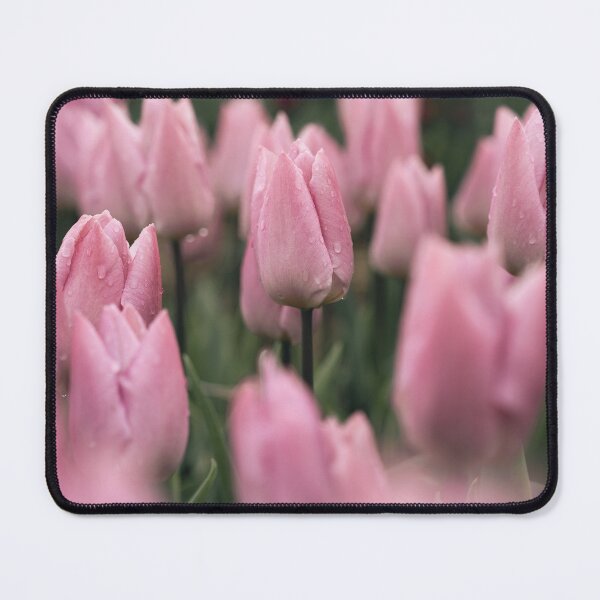 Item preview, Rain-Kissed Tulips in Flevoland designed and sold by FomenkoStudio.