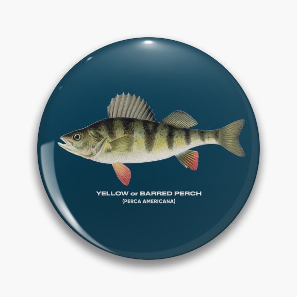 Item preview, yellow perch fish designed and sold by tony4urban.