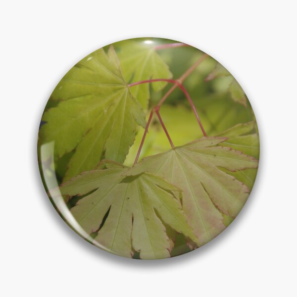 Item preview, Acer palmatum designed and sold by lezvee.
