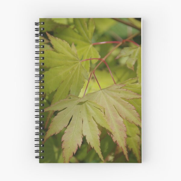 Item preview, Acer palmatum designed and sold by lezvee.
