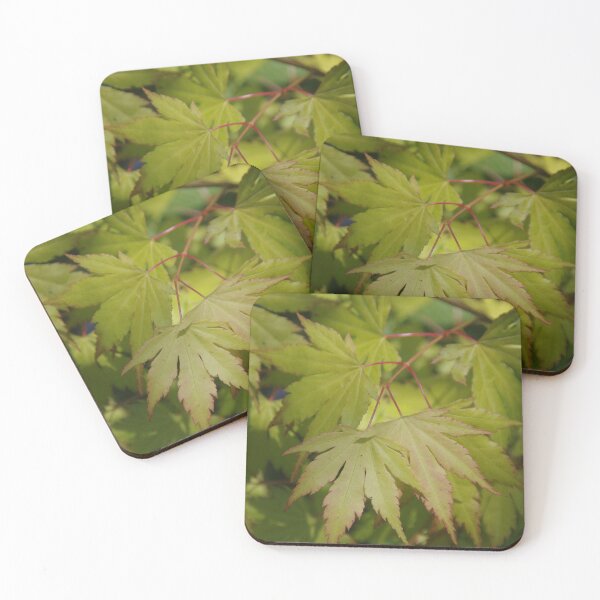 Item preview, Acer palmatum designed and sold by lezvee.