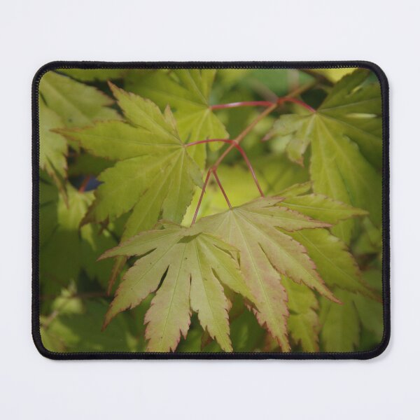 Item preview, Acer palmatum designed and sold by lezvee.