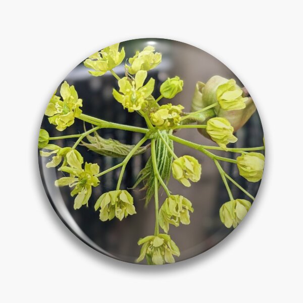 Item preview, Spring maple  designed and sold by Sweetwater27.
