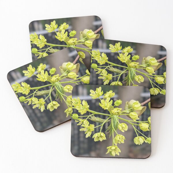Item preview, Spring maple  designed and sold by Sweetwater27.