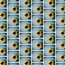 The real sun by Jorge Antunes