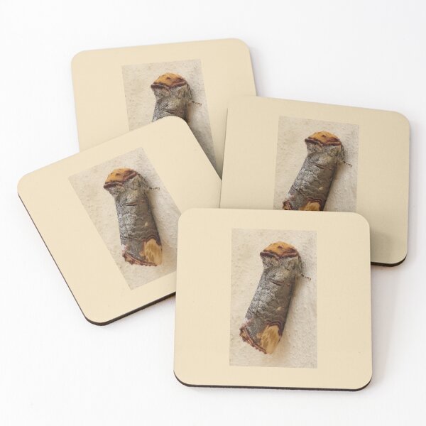 Item preview, BUFF TIP MOTH TWIG CAMOUFLAGE designed and sold by Richard Brookes Photography.