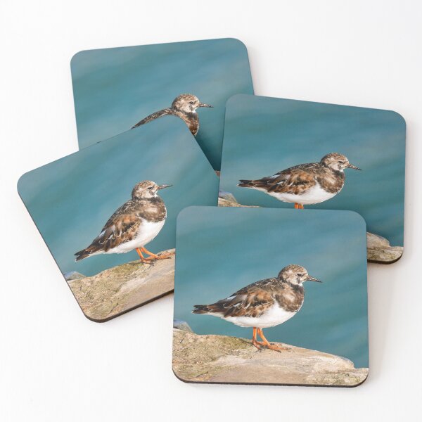 Item preview, Ruddy Turnstone - Arenaria interpres designed and sold by Dorset Girl.