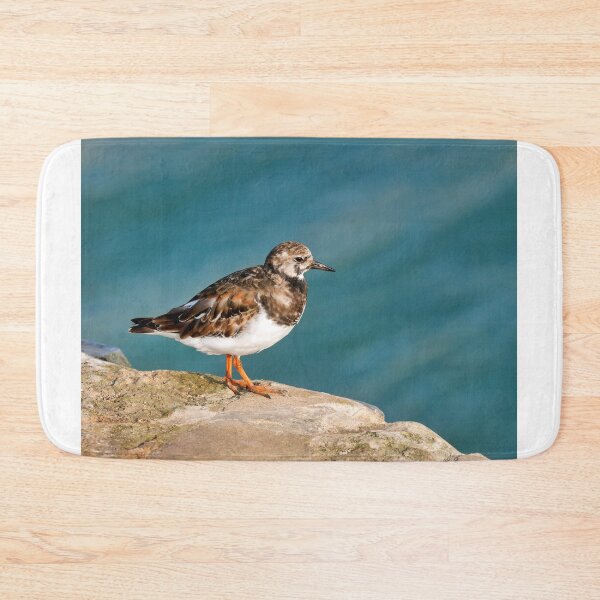 Item preview, Ruddy Turnstone - Arenaria interpres designed and sold by Dorset Girl.