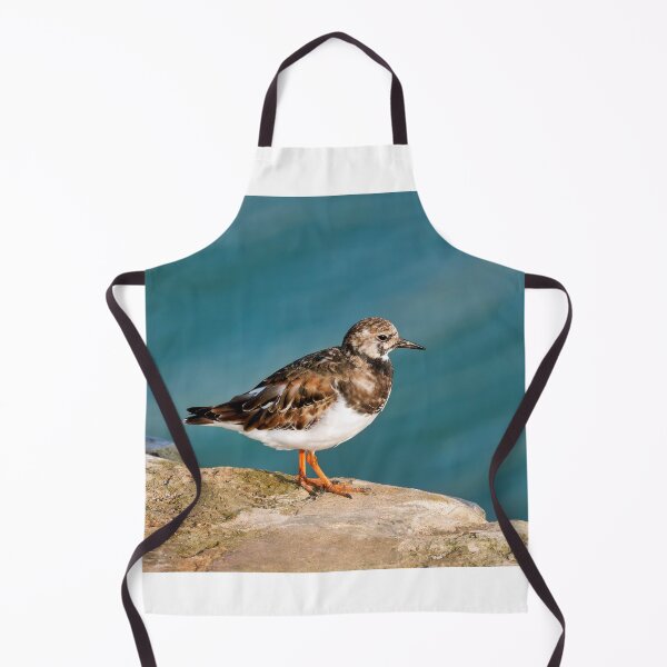 Item preview, Ruddy Turnstone - Arenaria interpres designed and sold by Dorset Girl.