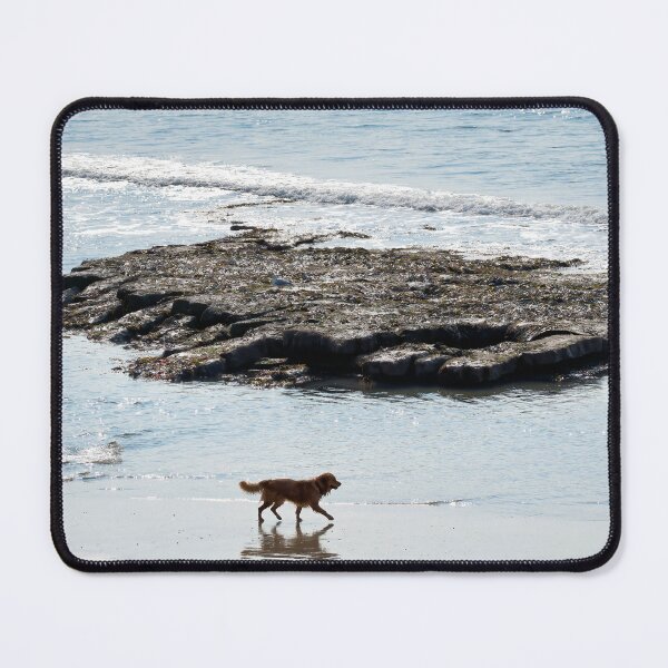 Item preview, Dog Walking Along an Empty Beach at Low Tide designed and sold by Dorset Girl.