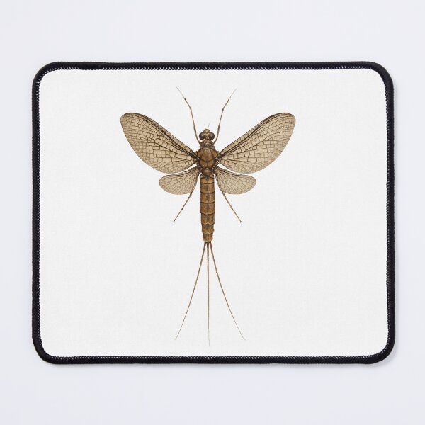 Item preview, Mayfly designed and sold by WoollyMenace.