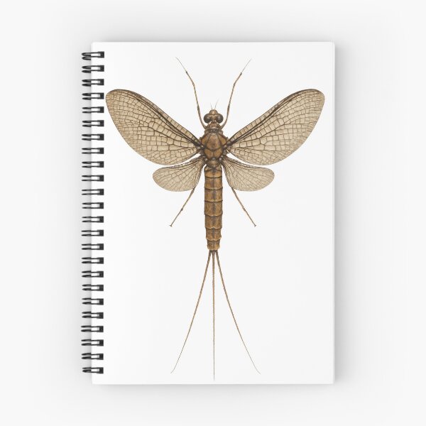 Item preview, Mayfly designed and sold by WoollyMenace.