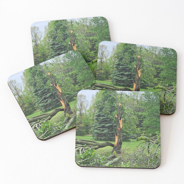 Item preview, After The Storm designed and sold by Brenda Planchon.