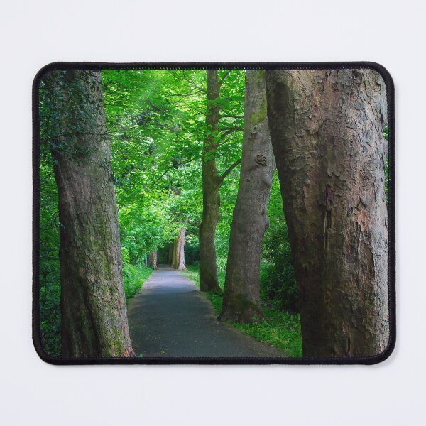 Item preview, Tree lined walkway designed and sold by Leighton Collins.