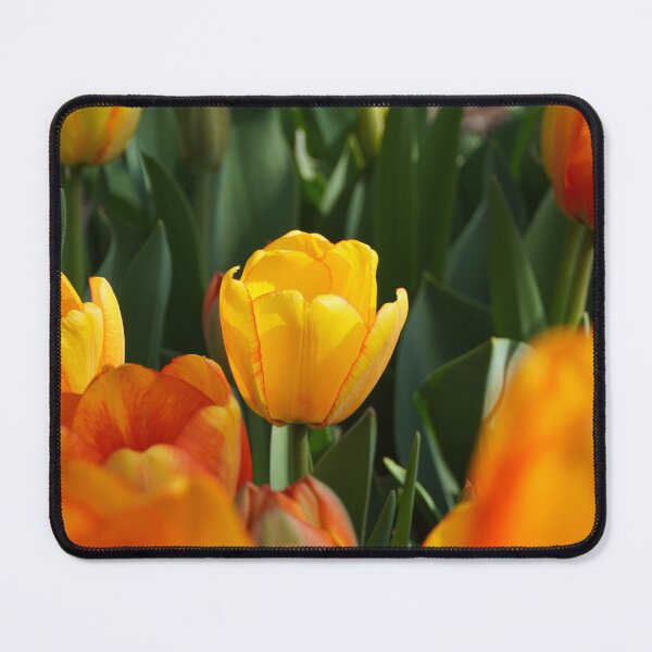 Item preview, Yellow Tulip in Garden designed and sold by Bloom-N-Blossom.