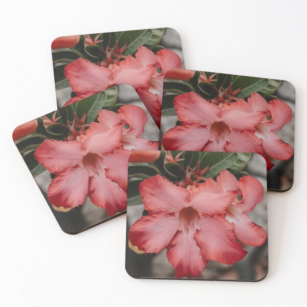 Item preview, Desert Rose Flower designed and sold by LindsayVTravels.