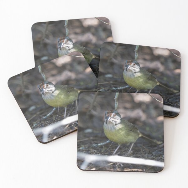 Item preview, Zapata Sparrow designed and sold by EnglandEcology.