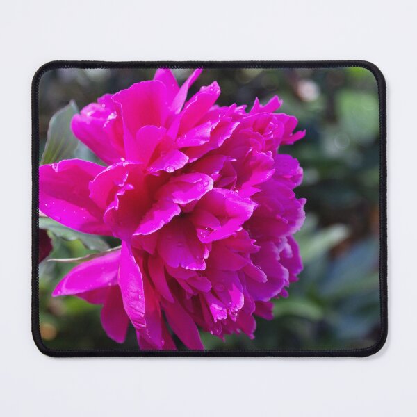 Item preview, Fuchsia Peony In Nature designed and sold by daphsam.