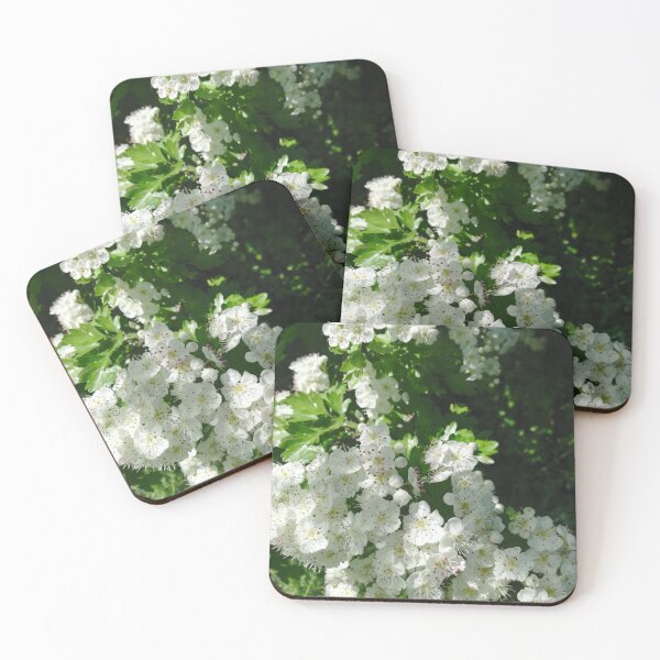 Item preview, White hawthorn blossom flowers designed and sold by esvb.