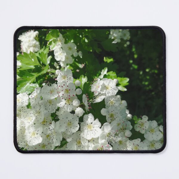 Item preview, White hawthorn blossom flowers designed and sold by esvb.